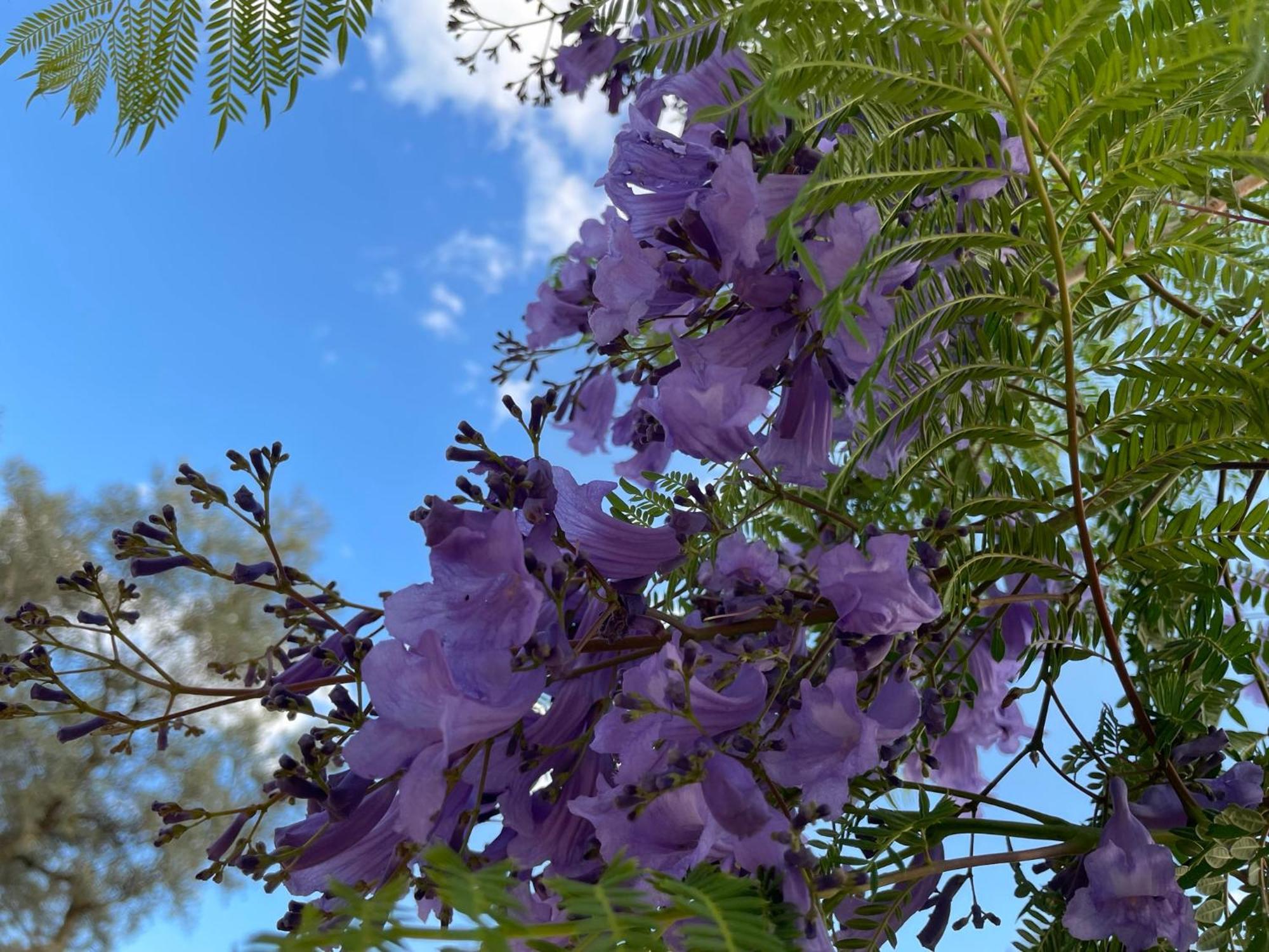 Finca Valle Verde Алора Екстер'єр фото
