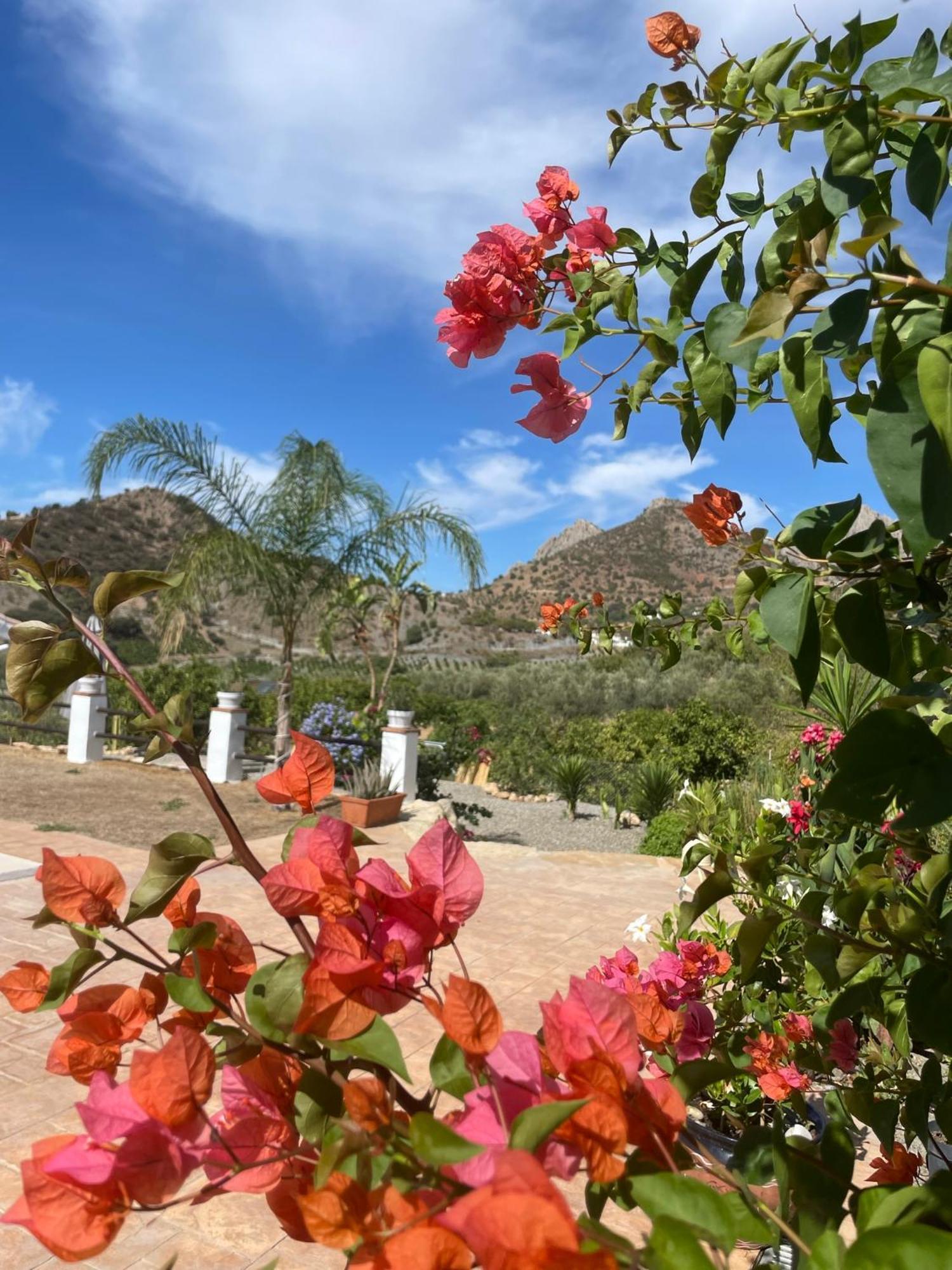 Finca Valle Verde Алора Екстер'єр фото