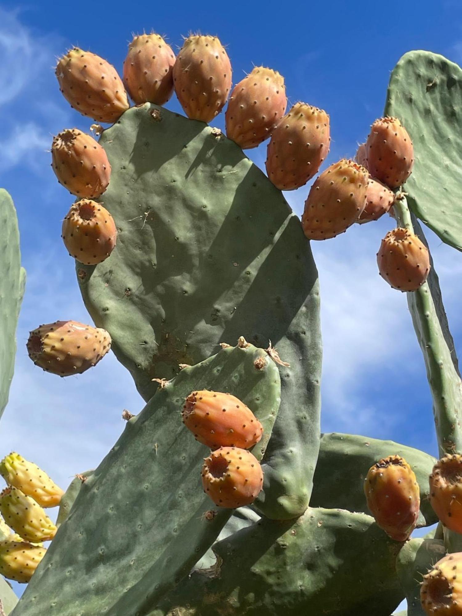 Finca Valle Verde Алора Екстер'єр фото