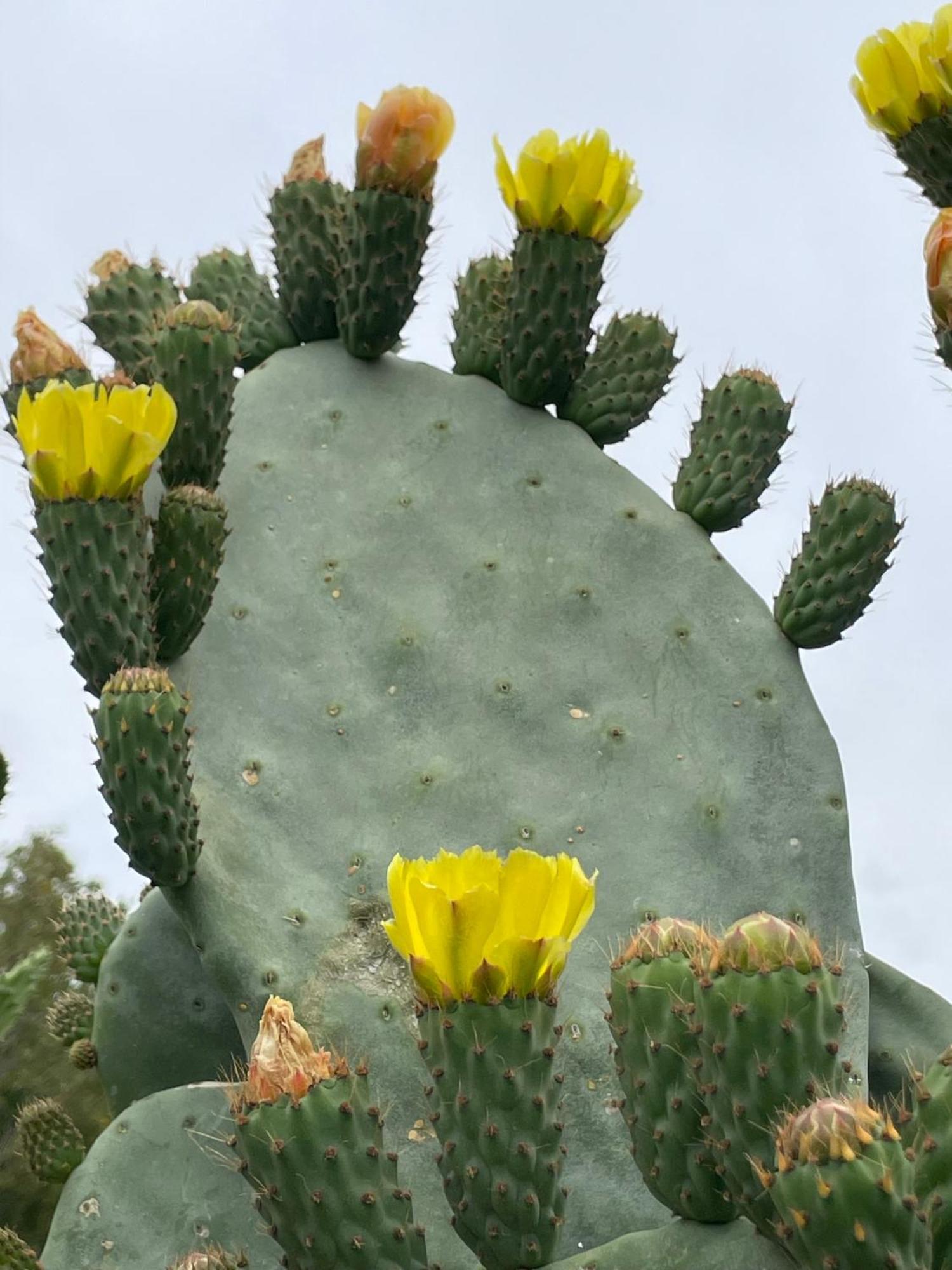 Finca Valle Verde Алора Екстер'єр фото