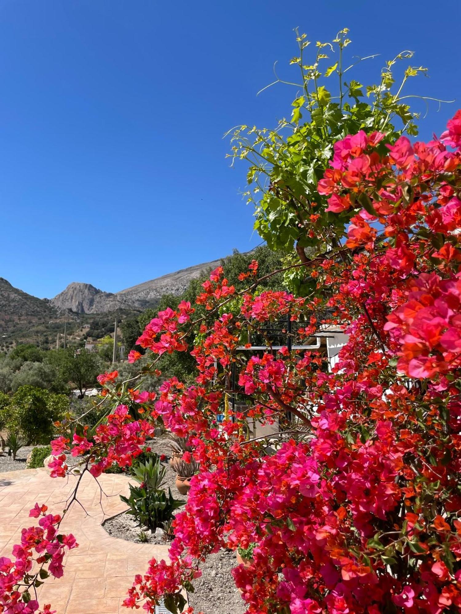 Finca Valle Verde Алора Екстер'єр фото