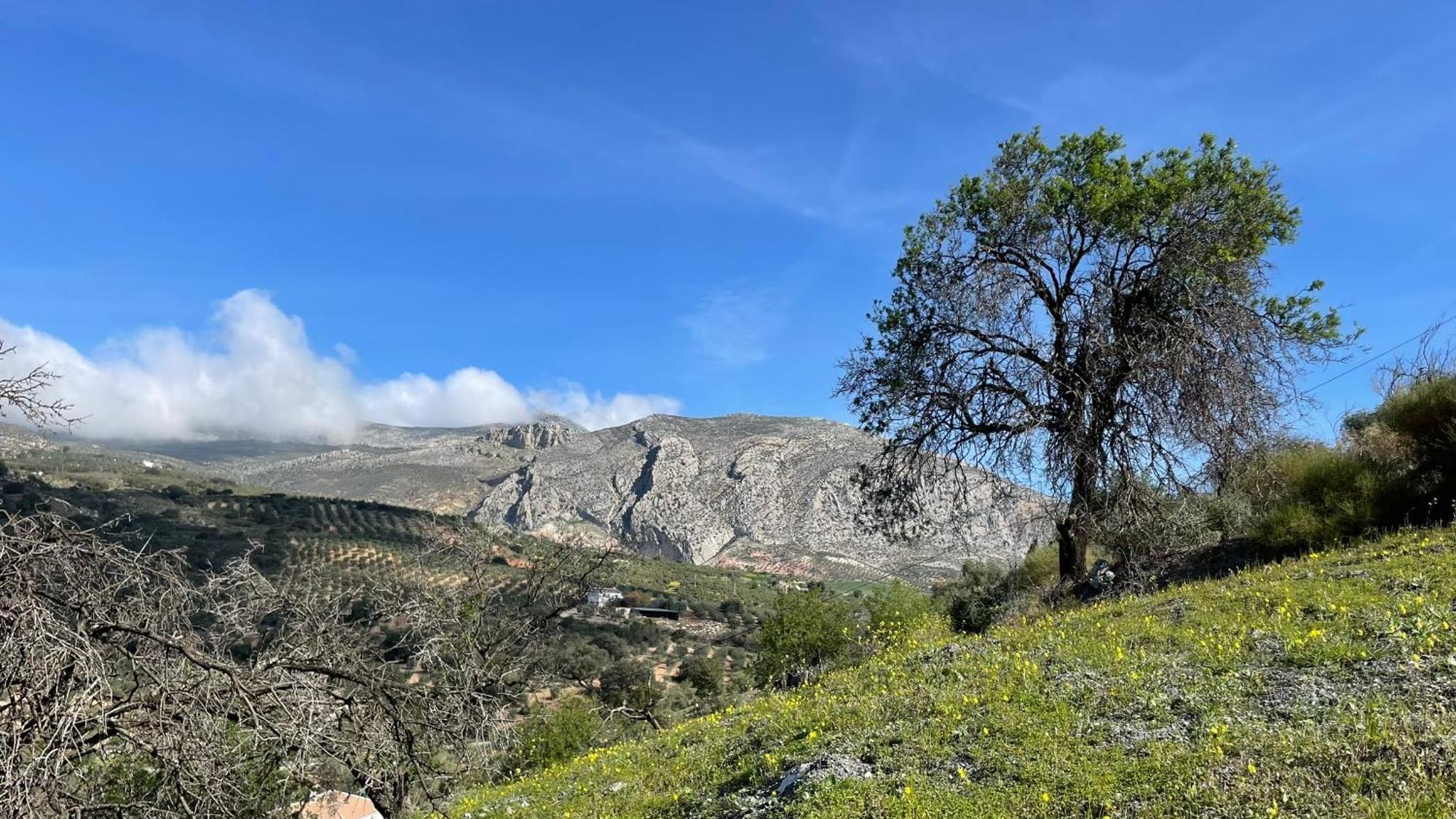 Finca Valle Verde Алора Екстер'єр фото