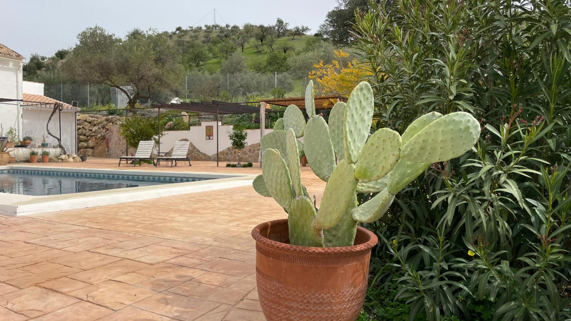 Finca Valle Verde Алора Екстер'єр фото