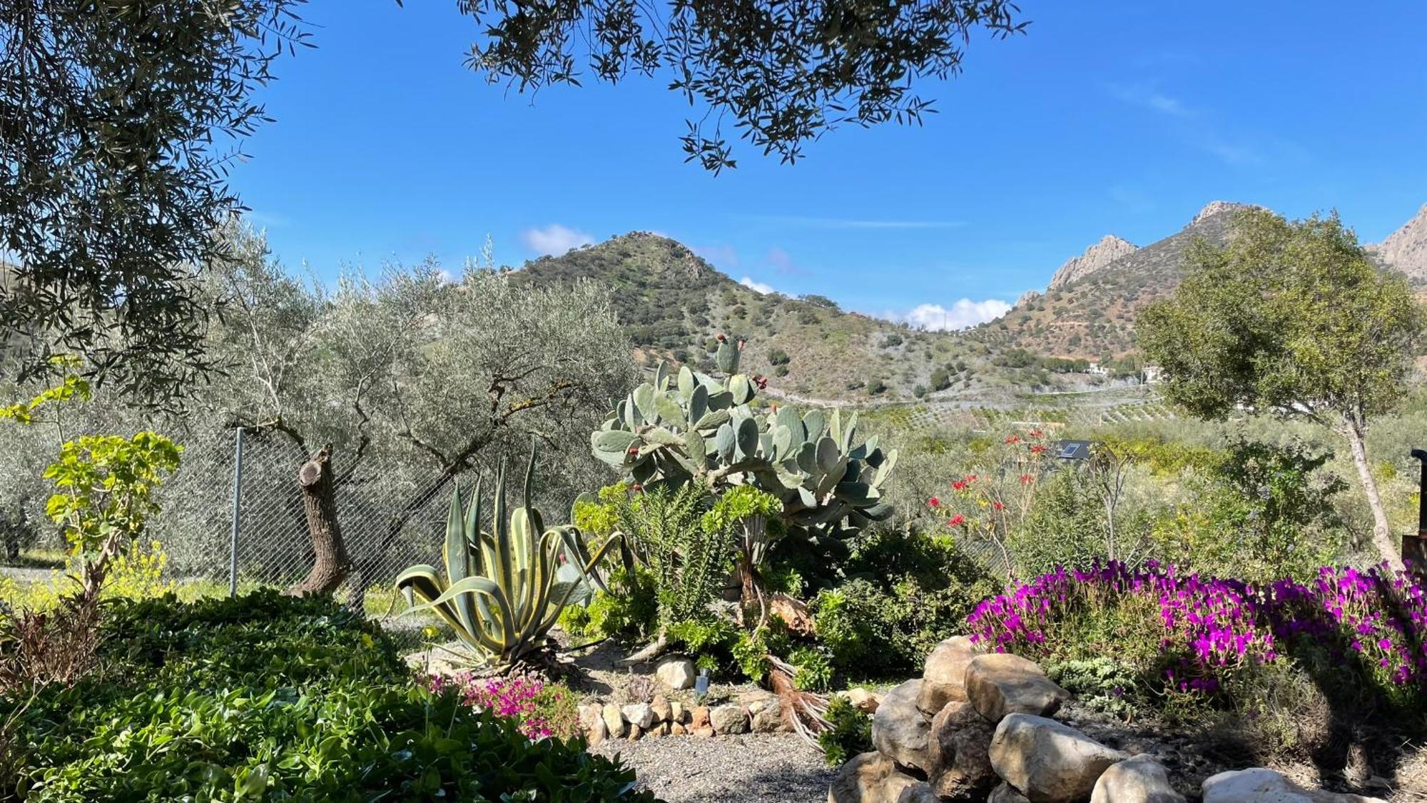 Finca Valle Verde Алора Екстер'єр фото