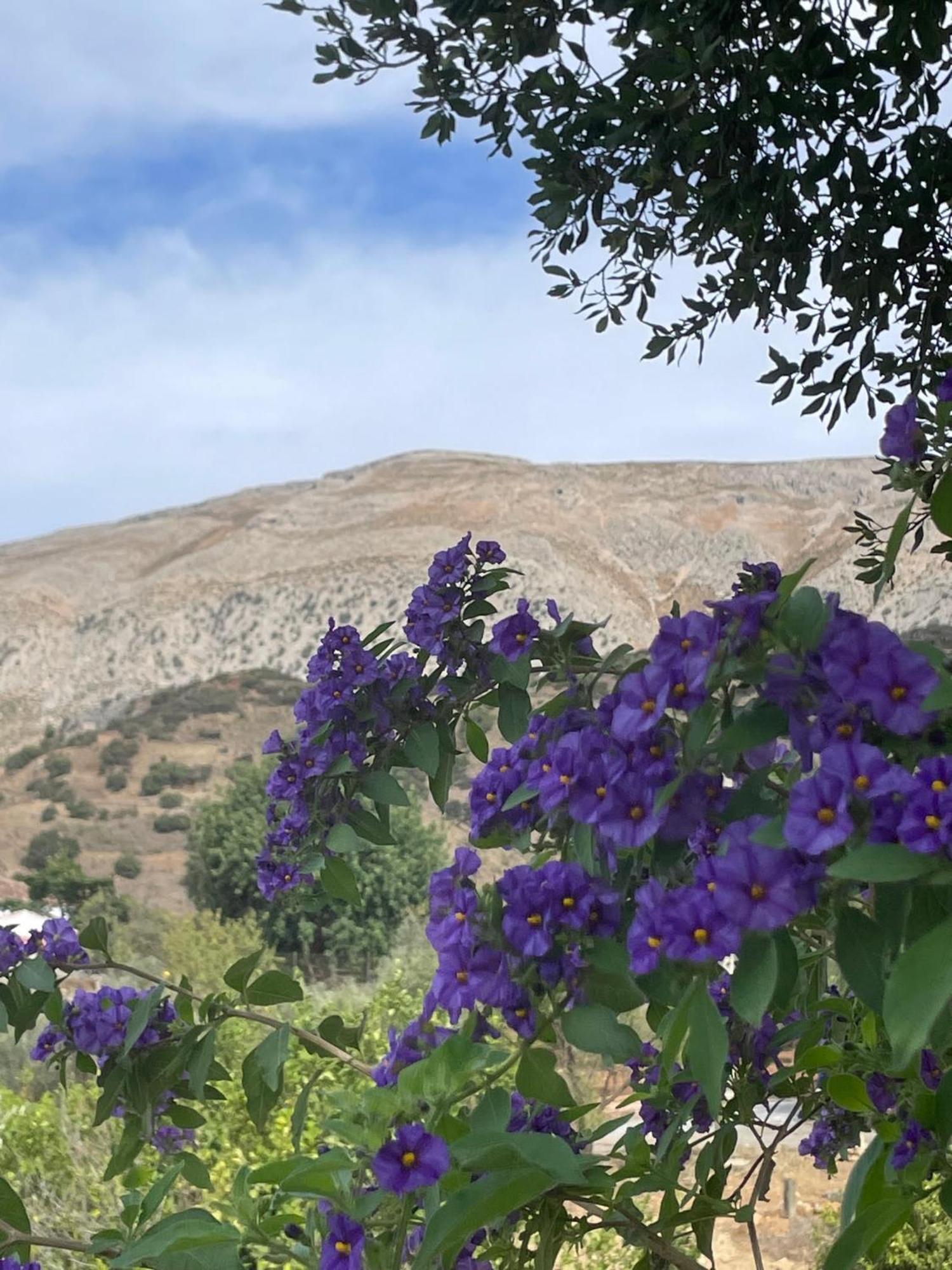 Finca Valle Verde Алора Екстер'єр фото