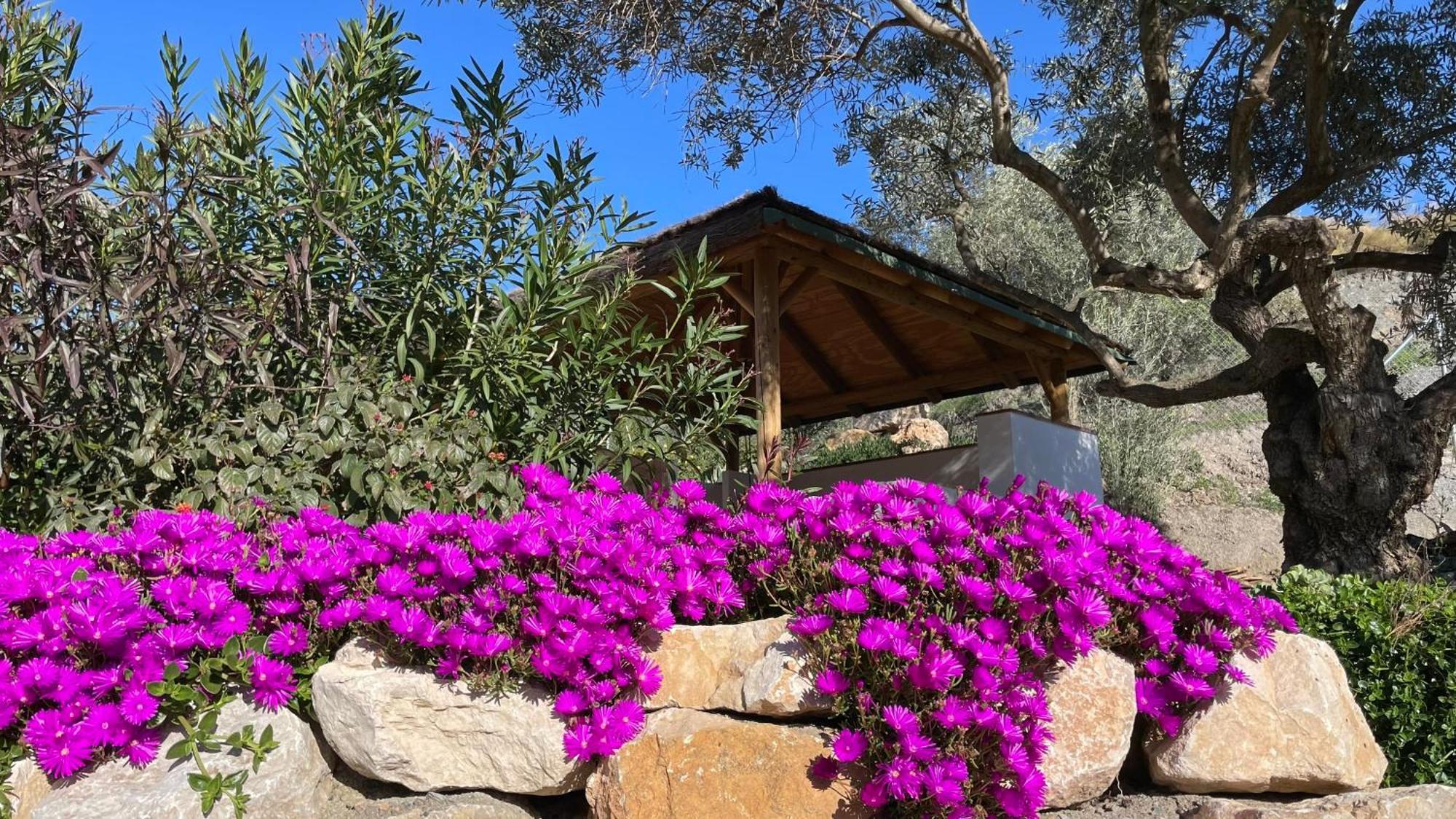 Finca Valle Verde Алора Екстер'єр фото
